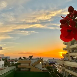 Apartment In Ocean Park, Costa Adeje, Tenerife, Costa Adeje (Tenerife)